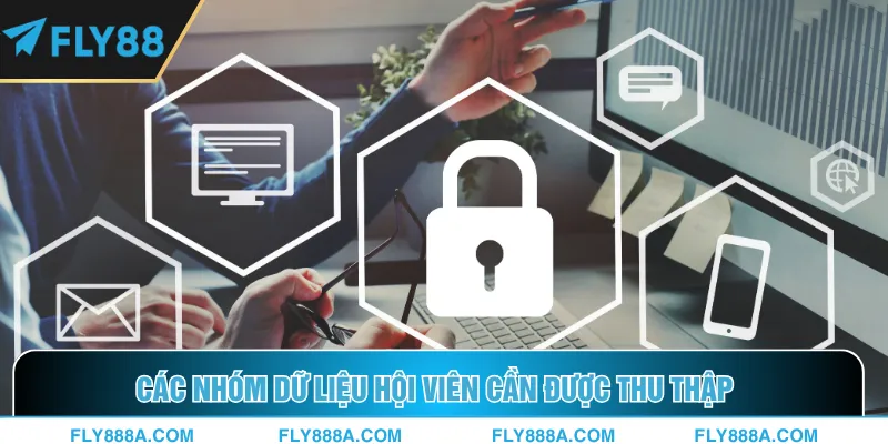 Các nhóm dữ liệu hội viên cần được thu thập