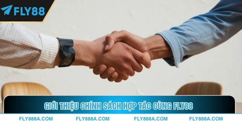 Giới thiệu chính sách hợp tác cùng Fly88